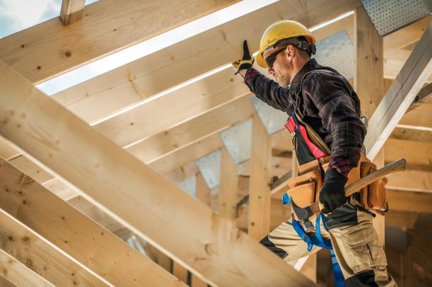 Best Local Roofing Companies  in Ionia, MI