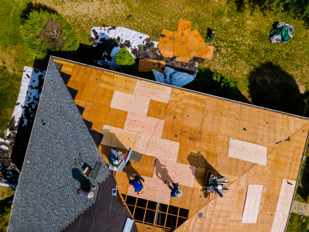 Best Storm Damage Roof Repair  in Ionia, MI