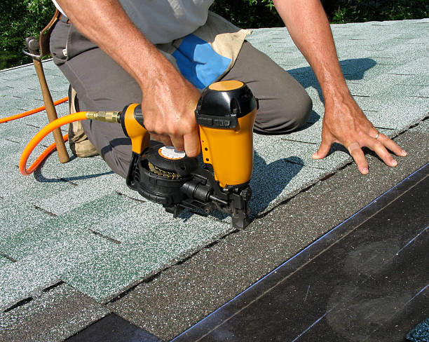 Best Roof Gutter Cleaning  in Ionia, MI