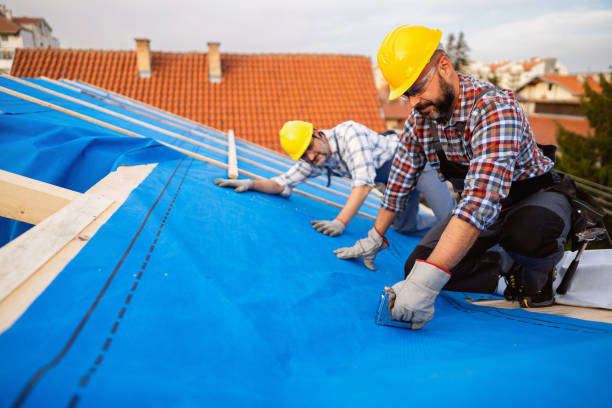 Best Residential Roofing Contractor  in Ionia, MI
