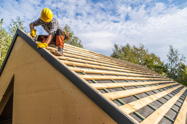 Best Local Roofing Companies  in Ionia, MI
