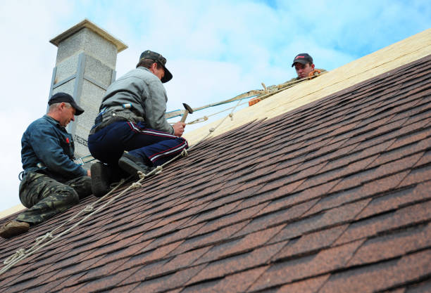 Best Residential Roofing Contractor  in Ionia, MI