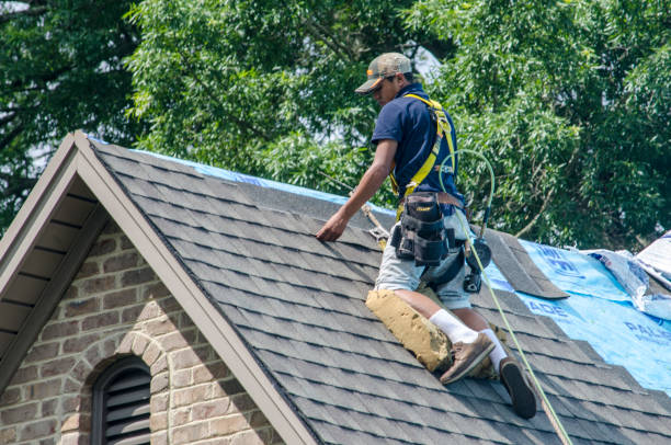 Best Metal Roofing Contractor  in Ionia, MI